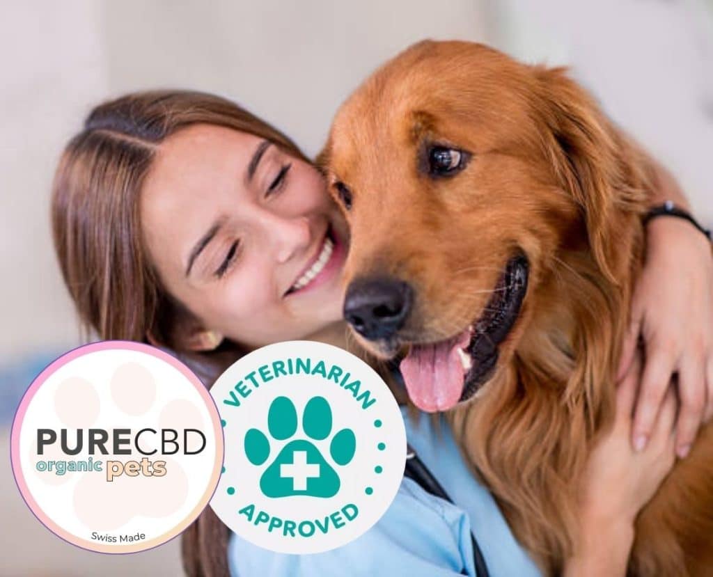 Aceite CBD, el complemento alimenticio con beneficios físicos y psíquicos  para las mascotas